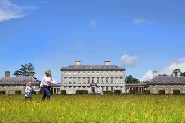 Billiard Room at Castletown House: Luxury venue for corporate retreats and upscale weddings.