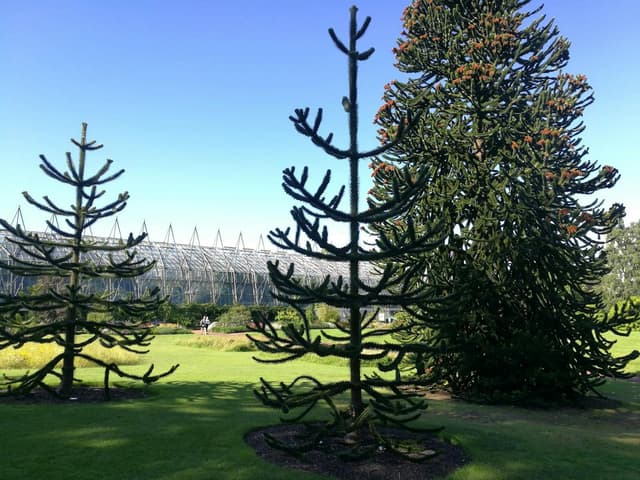 Royal Botanic Garden Edinburgh