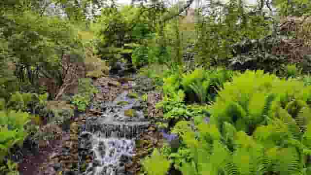 Royal Botanic Garden Edinburgh