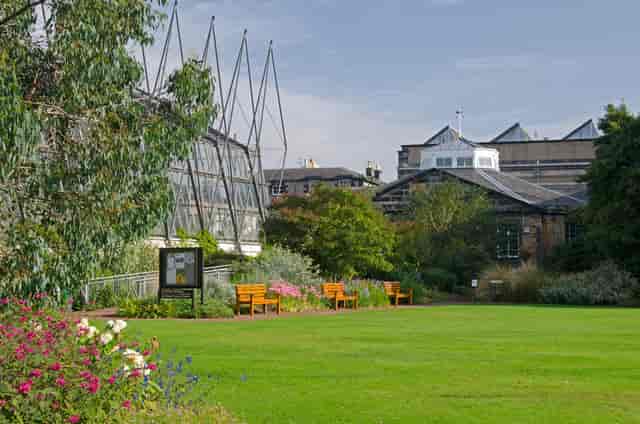 Lecture Theatre at Royal Botanic Garden Edinburgh: green lawn for garden event venue hire.