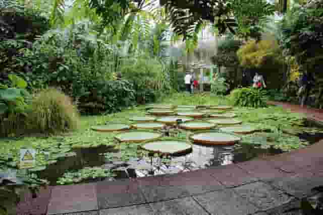 Royal Botanic Garden Edinburgh