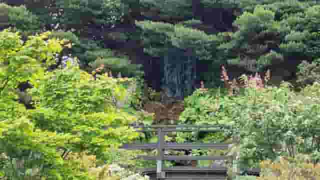 Royal Botanic Garden Edinburgh