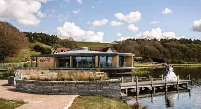 Water Lily suite