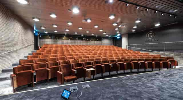Modern tiered auditorium with plush seating for corporate keynotes and professional conferences.
