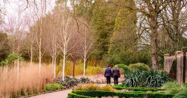 Winter Garden