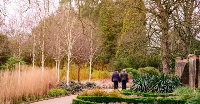 Winter Garden
