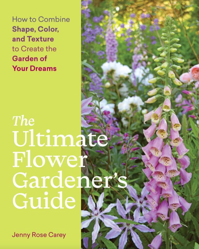 Winter Garden