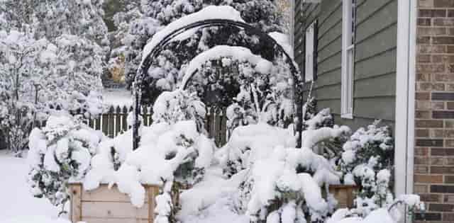 Winter Garden indoor event space for seamless weather contingency planning and corporate gatherings.