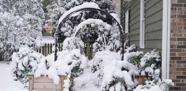 Winter Garden