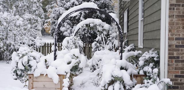 Winter Garden indoor event space for seamless weather contingency planning and corporate gatherings.