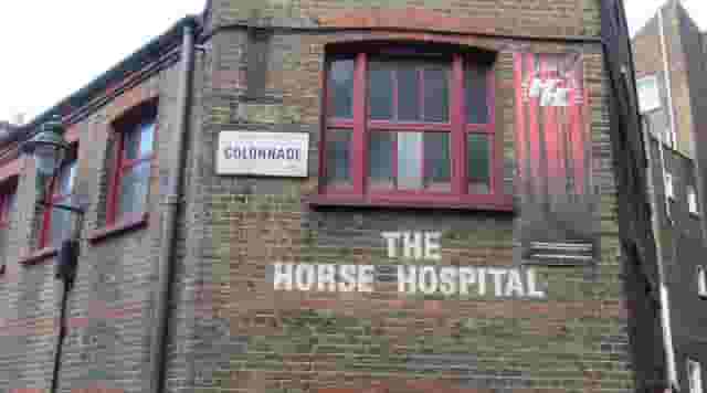 The Horse Hospital