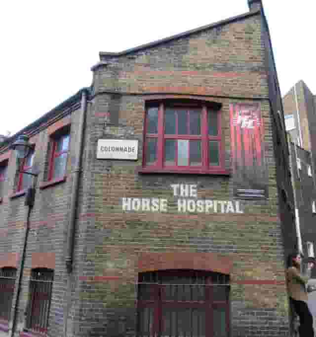 The Horse Hospital