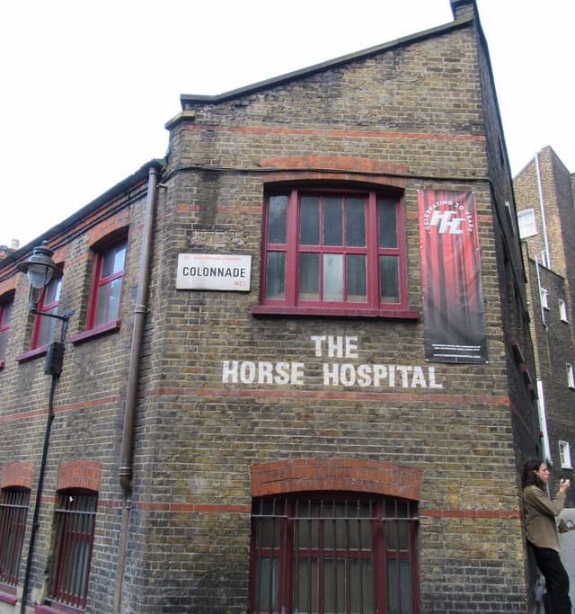 The Horse Hospital