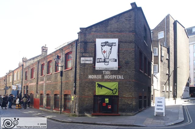 The Horse Hospital