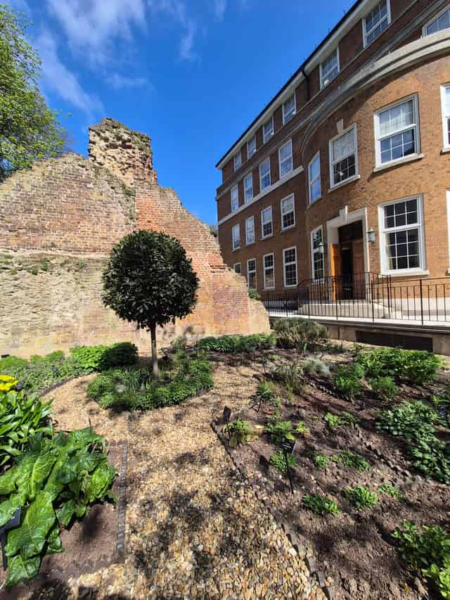 Terrace and Garden 