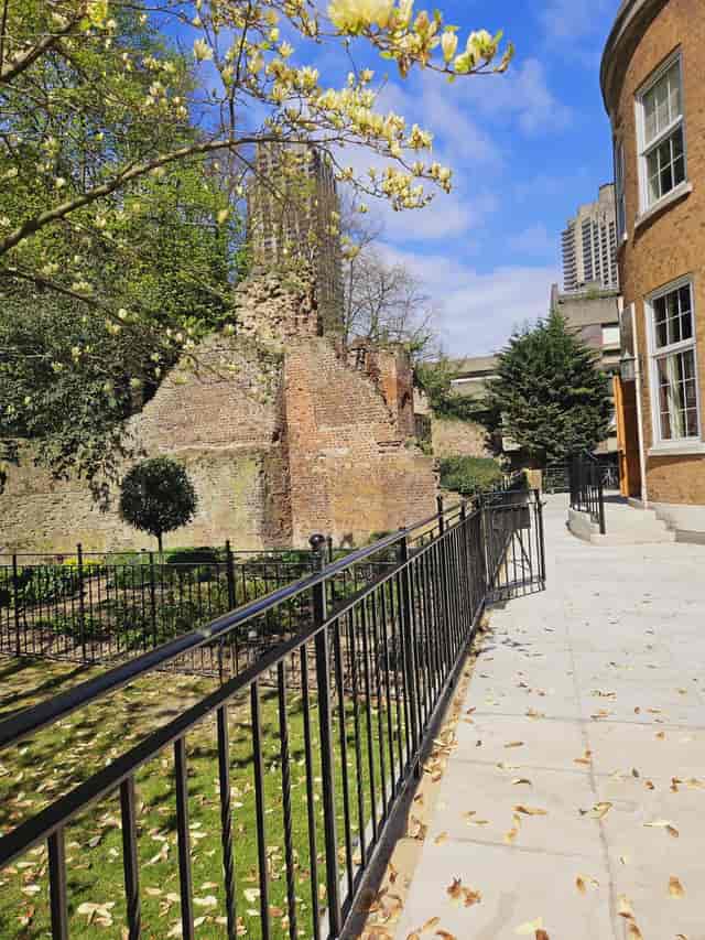 Terrace and Garden 