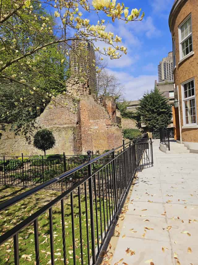 Terrace and Garden 