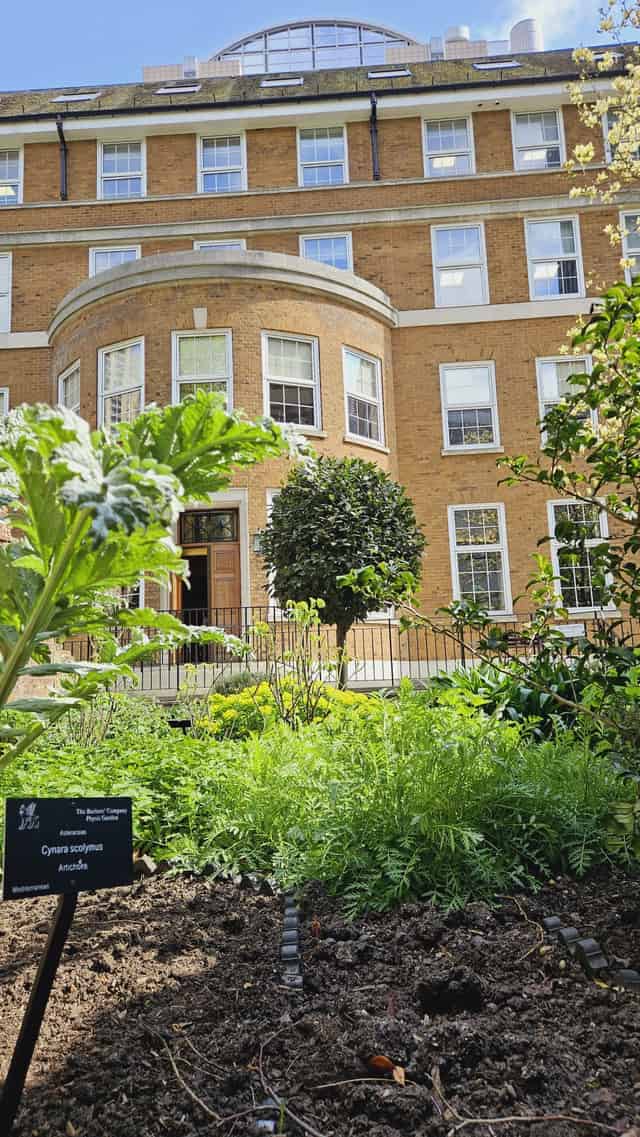 Terrace and Garden 