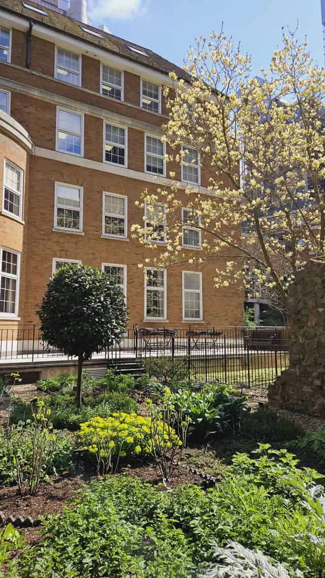 Terrace and Garden 