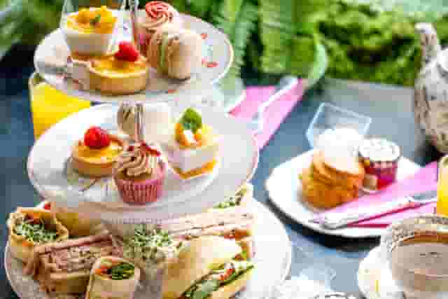 Brigit's Afternoon Tea Bus London