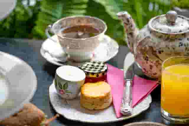Brigit's Afternoon Tea Bus London