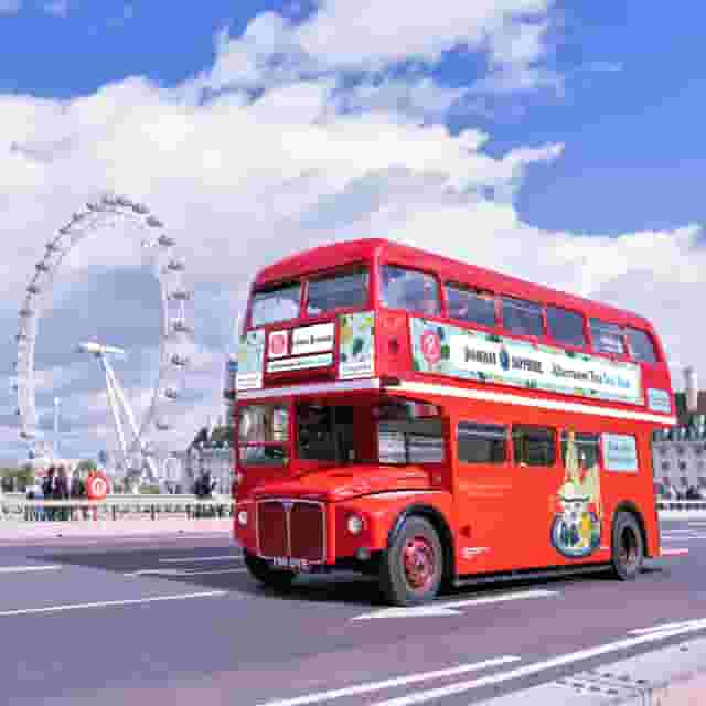 Gin Lovers Bus Tour