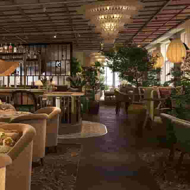 Gastronomi & Drinks