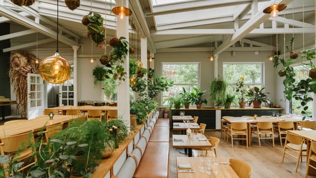 Biophilic Restaurant KILDEN: Ideal venue for corporate brunch and professional breakout sessions.