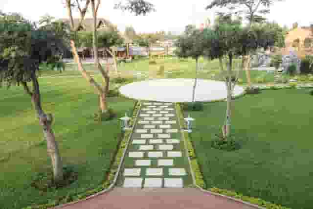 garden