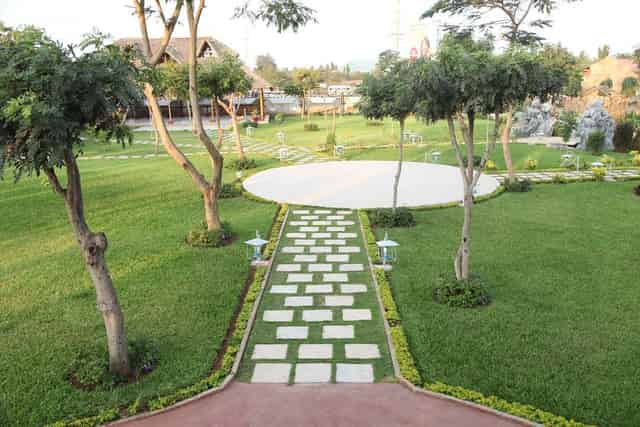 garden