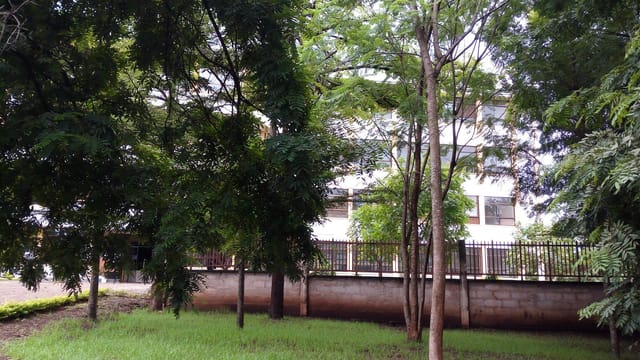 Bishop Amedeus Msarikie Learning Resource Centre outdoor space for events and team-building.