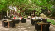 Outdoor Terraces