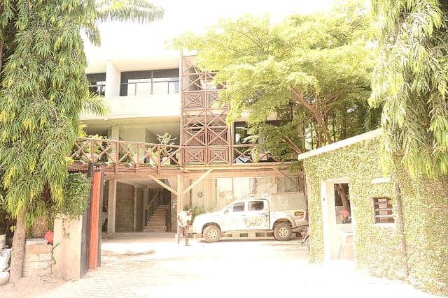 Garden