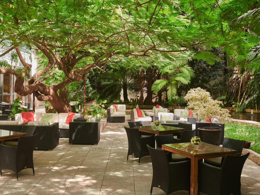 Lush terrace lounge with modular seating for corporate networking and cocktail receptions.