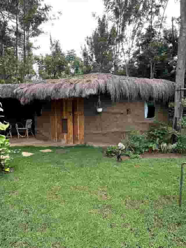 Garden area