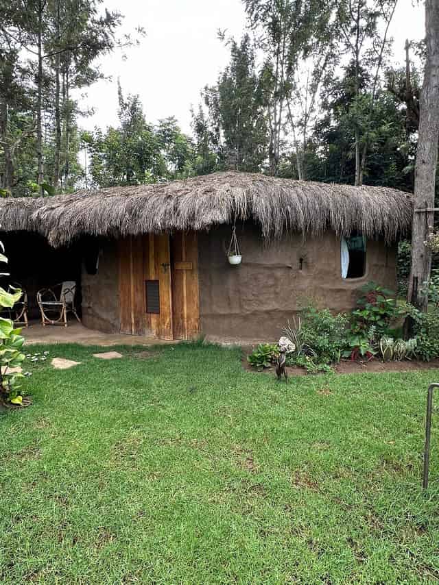 Garden area