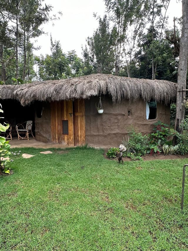 Garden area