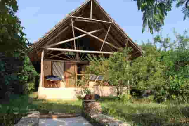 Garden area