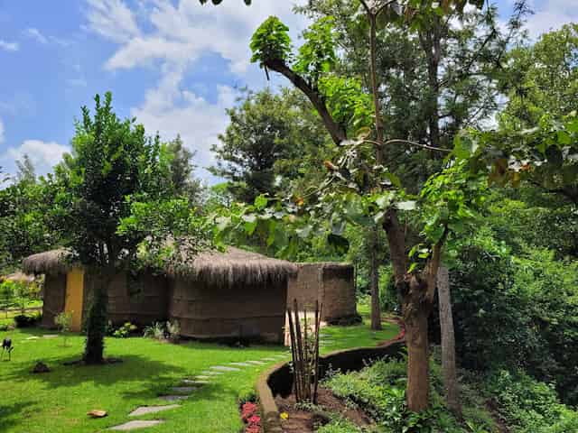 Garden area