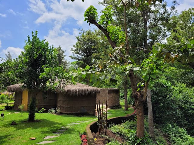 Garden area