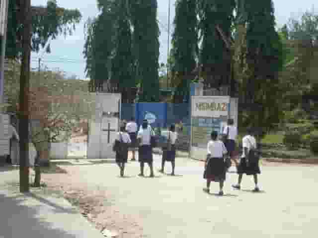 Amecea
