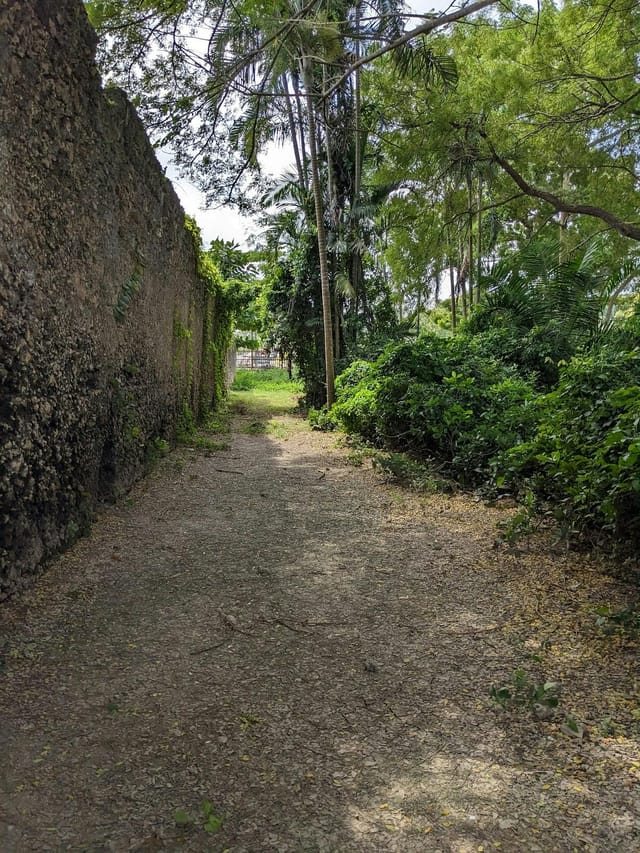 Mtoni Palace Ruins: uneven, unpaved event site inspection for venue accessibility and safety.