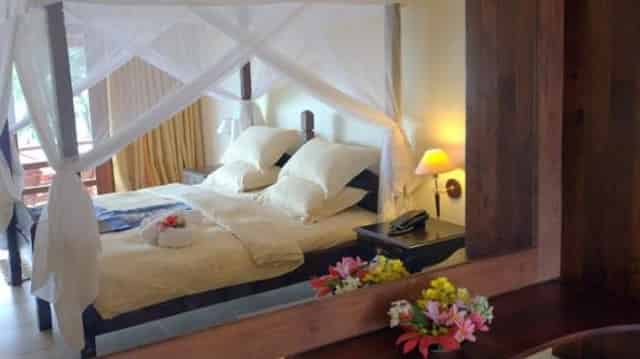 Suites