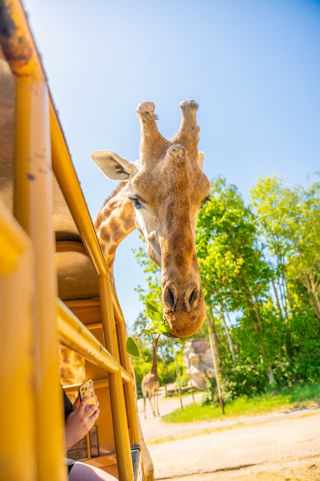 Chessington World of Adventures Resort