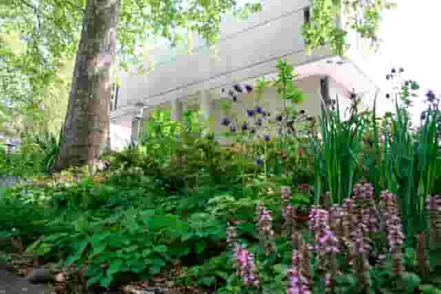 RCP London Events (Royal College of Physicians)