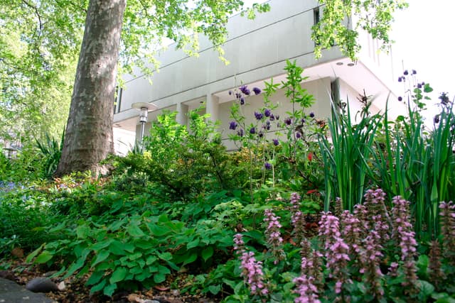 RCP London Events (Royal College of Physicians)