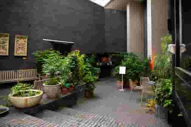 Summer at RCP London Events