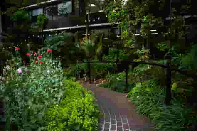 Summer at RCP London Events