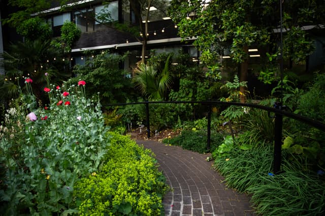 RCP London Events (Royal College of Physicians)