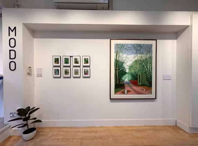 MODO Gallery